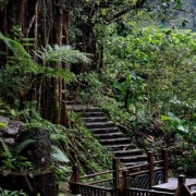 Fotografía  de la Galería Jardines de eduardo