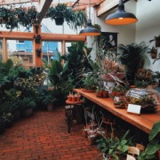 Fotografía  de la Galería Jardines de eduardo