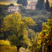 Fotografía  de la Galería Casas de eduardo